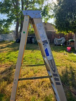 Warner ladder