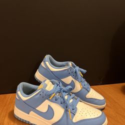 Costal Nike Low Dunks
