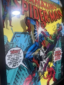 Spider Man Picture Frame