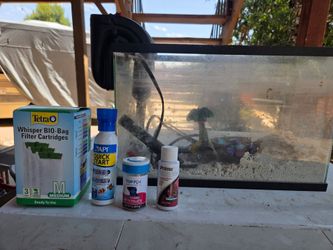 3 gallon fish tank