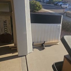 Make Offfer Need Gone Today 