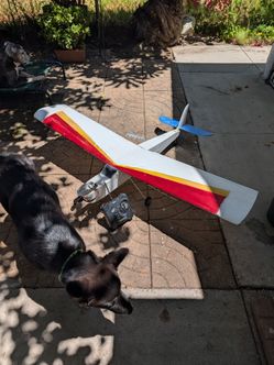 Custom built RC plane cesena