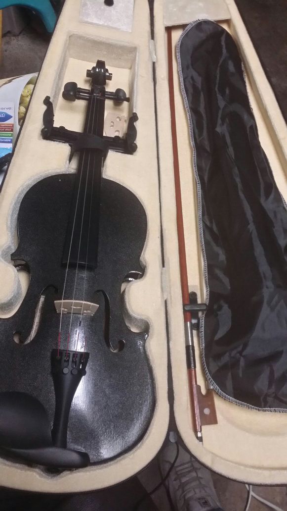 4/4 black violin and case.