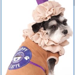 Puppy Latte Puppucino Dog Halloween Costume (35-45 lbs)