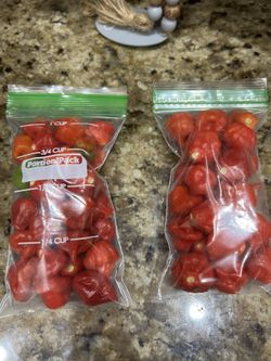 Aji Cachucha