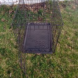Small breed dog crate