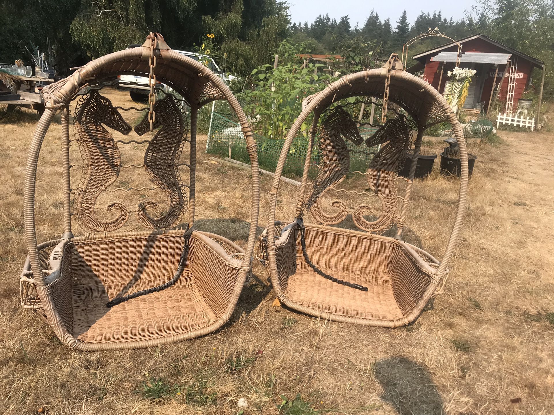 Outdoor hanging chairs seahorse design