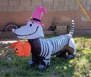 Halloween Inflatable Skeleton Dachshund with Pumpkin