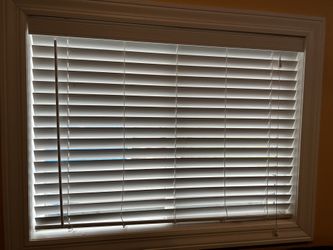 Window Blinds 