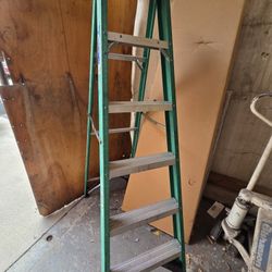 Werner Step Ladder