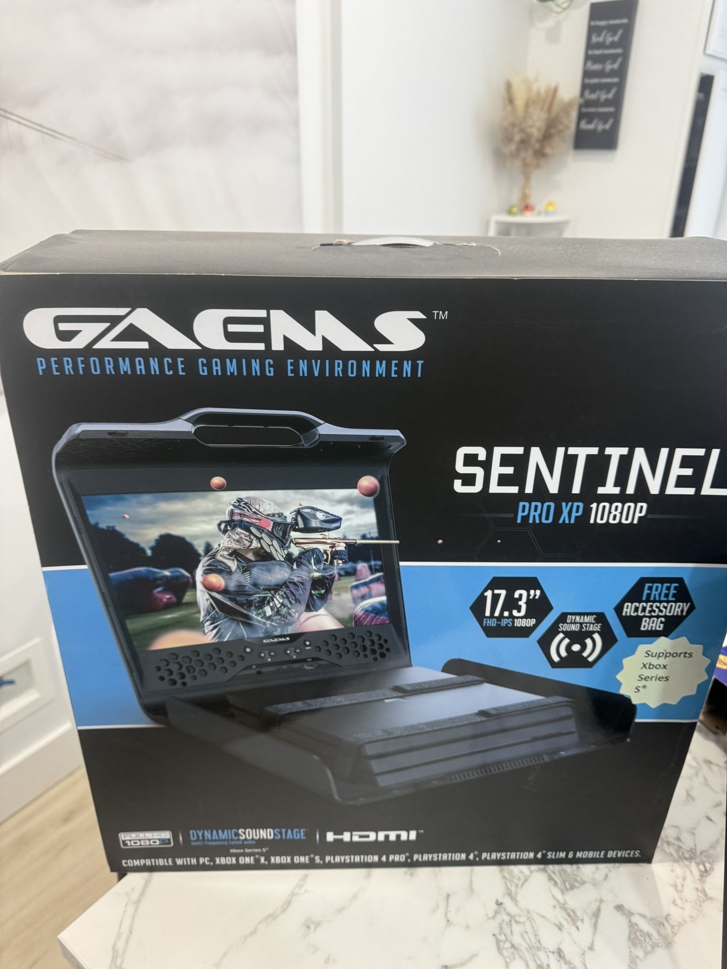Portable Gaming Monitor 160 Without Ps With PS4 220