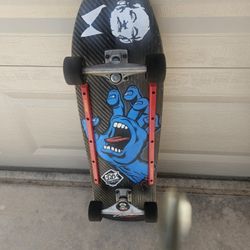 Santa Cruz Long Board