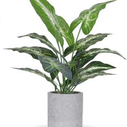 Der Rose JC nateva 16" Small Fake Plants Artificial Tropical Faux Plants Indoor for Office Desk Shelf Bathroom Home Decor