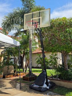 Portable Basketball Hoop with Backboard