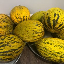 Mediteran Melon ( Kirkagac Turkey)