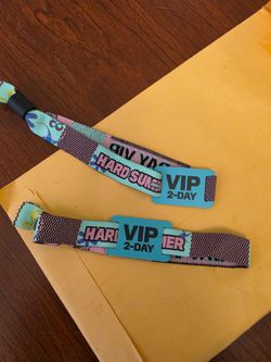 Hard summer 2 day VIP
