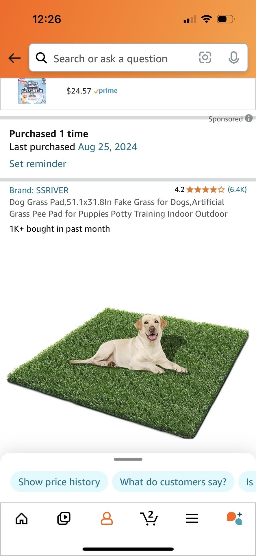 Astroturf For Dogs Fake Grass For Your Dog