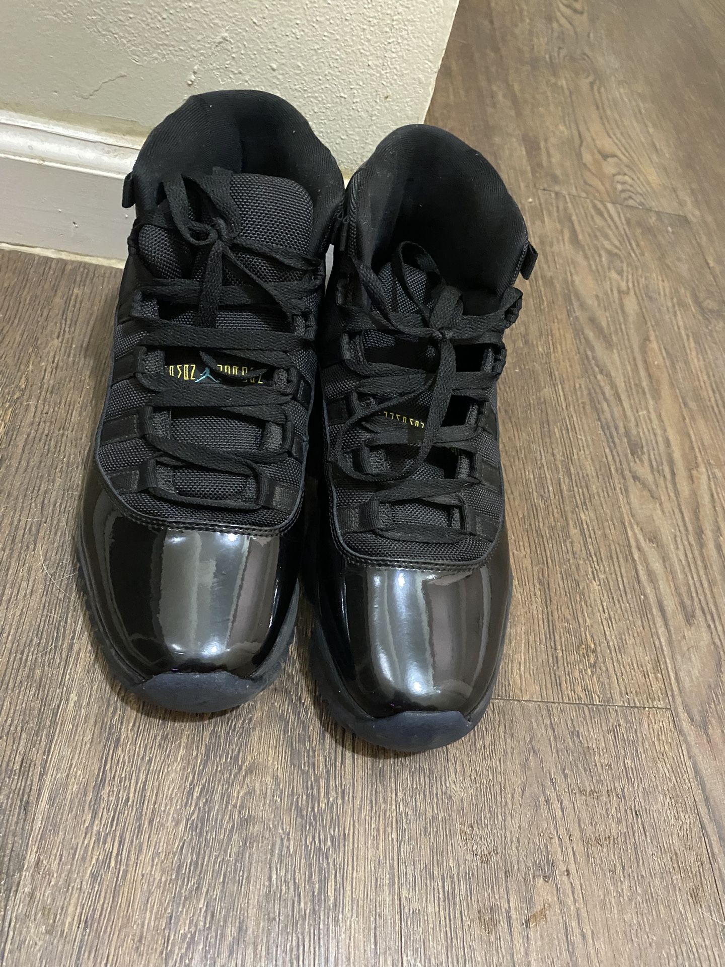 Jordan 11 Gamma’s Size 10