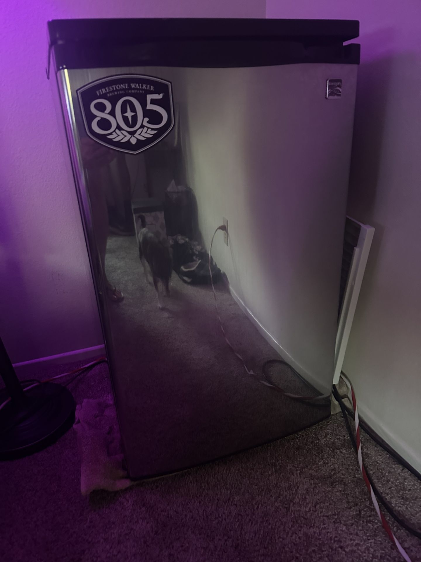Mini Fridge