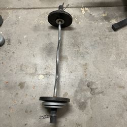 Curl Bar