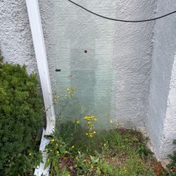 Plate Glass