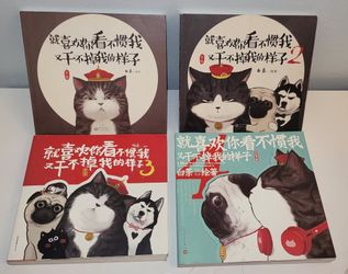 I Like that You don't Like What I Do, but Can Do Nothing about It (Chinese Edition)
