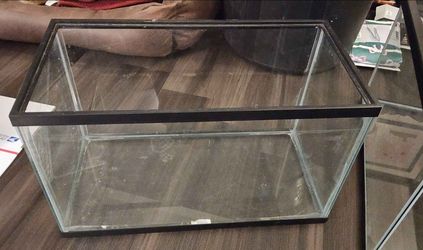 10 Gallon Tank Without Lid