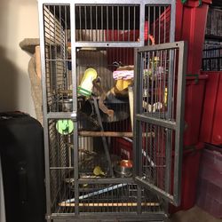 Bird Cage