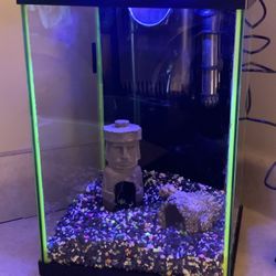 Aquarium 5 Gallon