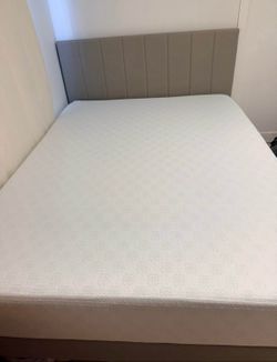 Bed Frame and Mattress