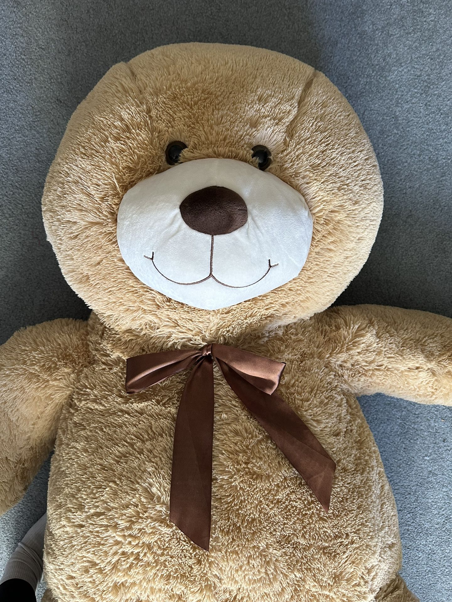 Big Brown Teddy Bear