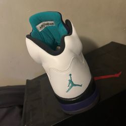 Grape 5s Sz 11 (negotiable)