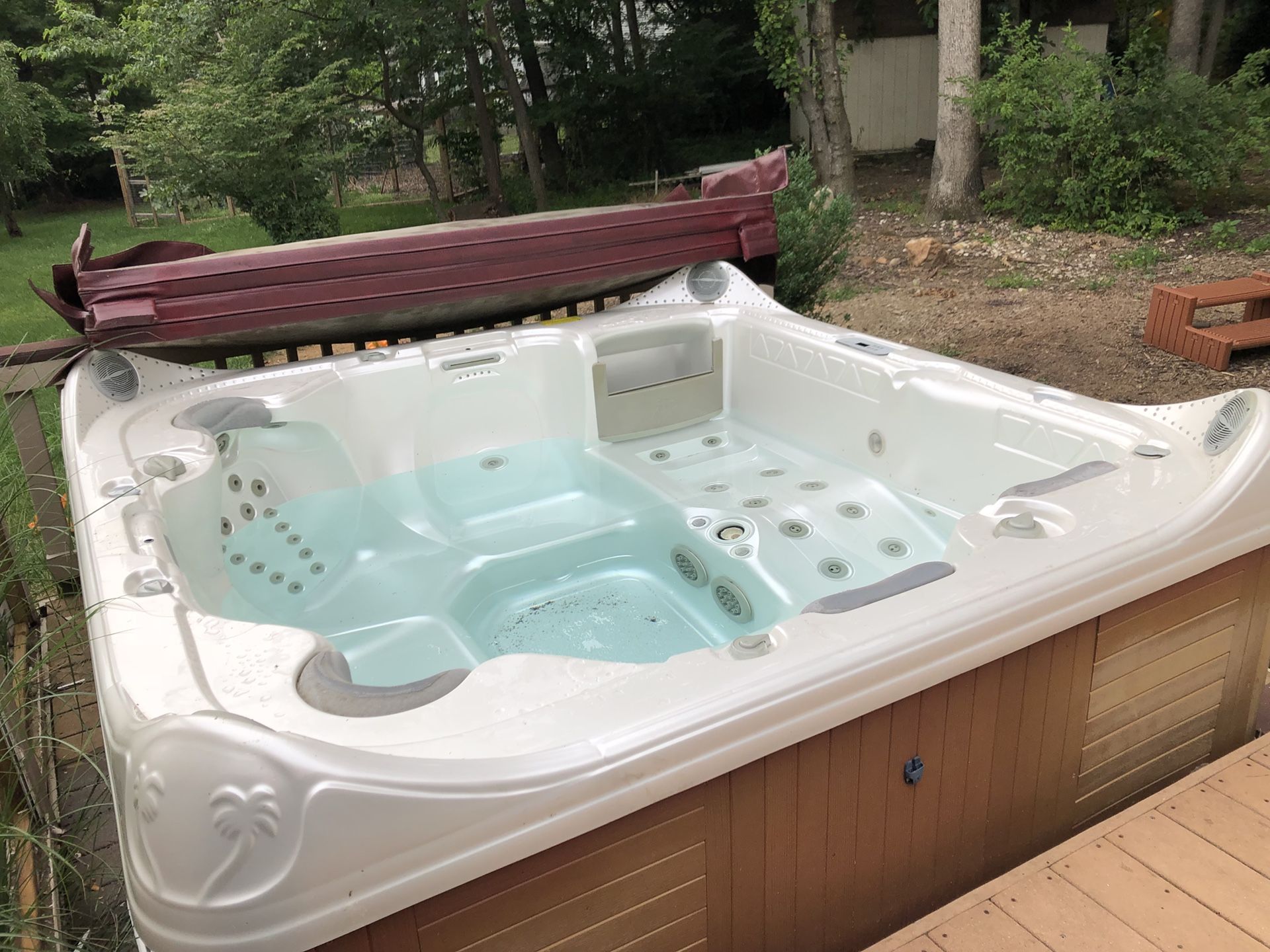 LA Spa Hot Tub