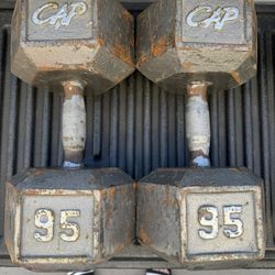 95LB Hex Dumbbells 