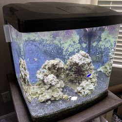 Biocube 32 Gallon Aquarium 