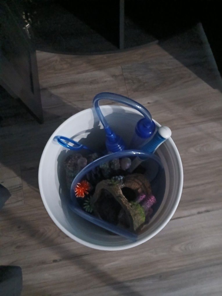Fish Aquarium Accessory Plus Food