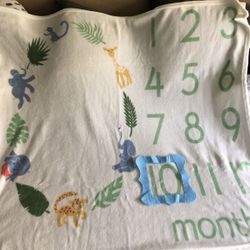 Baby Milestone Blanket
