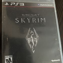 The Elder Scrolls V: Skyrim 