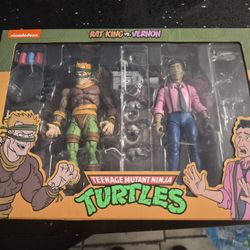 Teenage Mutant Ninja Turtles Action Figures 