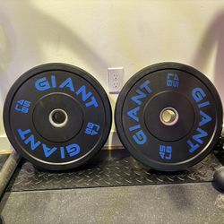 Bumper Plates 
