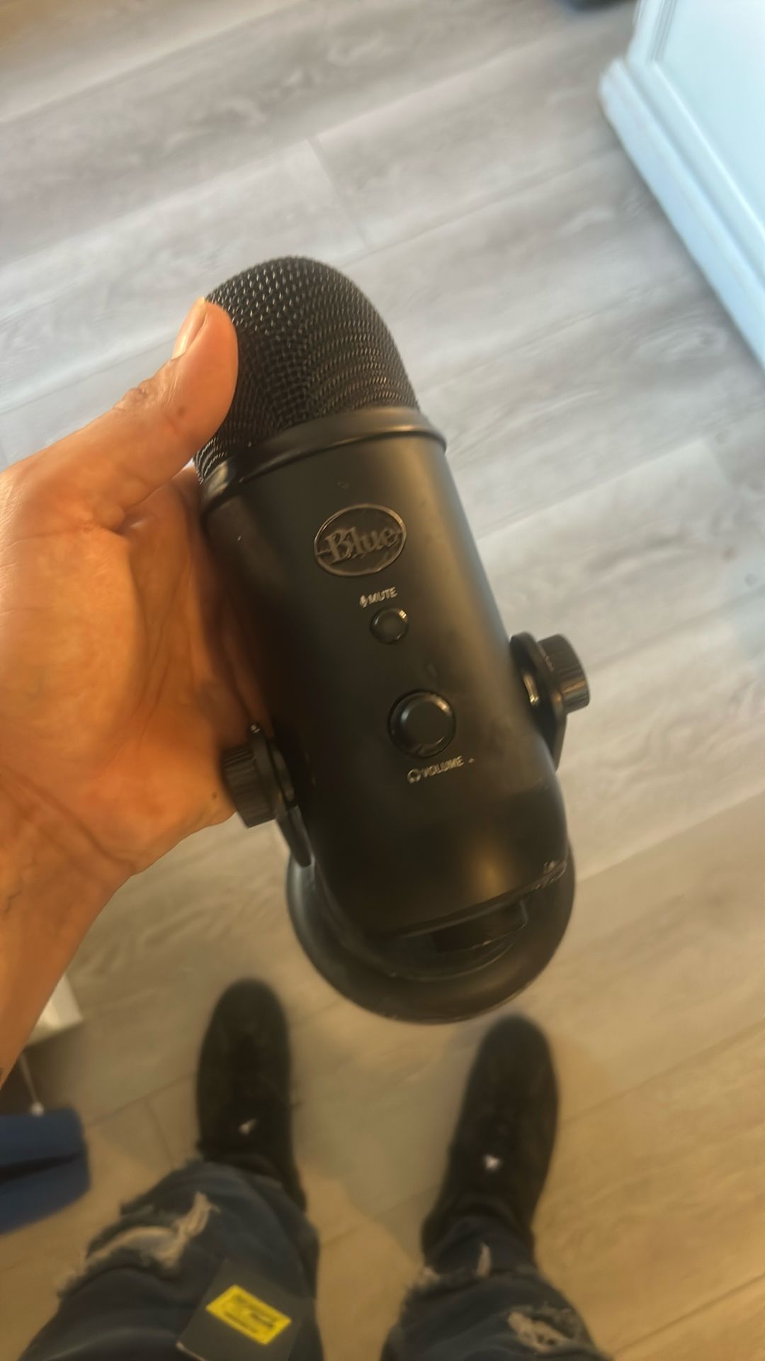 blue mic