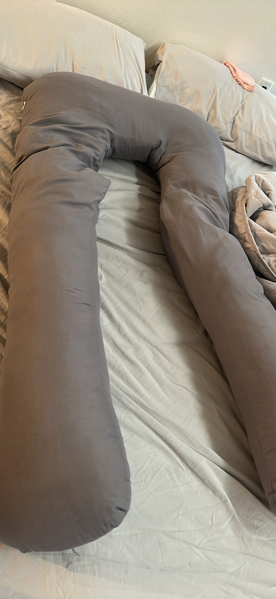 Pregnancy Pillow 