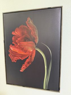 Beautiful Wall Decor