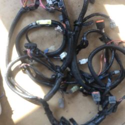 YAMAHA VX110 WAVERUNNER Engine wire harness 