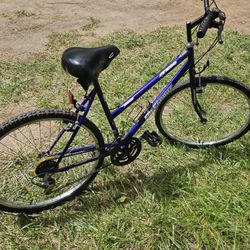 VINTAGE,FREEDOM SPIRIT BICYCLE