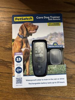 Dog trainer With Remote