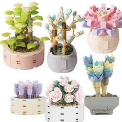 DIY Botanical Building Garden 