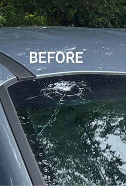 Parabrisas, Windshields 
