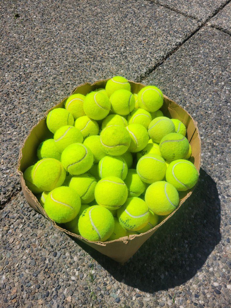 Used Tennis Balls