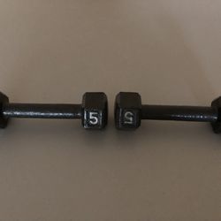2 Piece Set  5 Lbs Each , Solid Cast Iron Dumbbell Weights